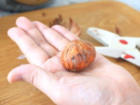 手間暇かけてふっくら美味しく♪ 栗の渋皮煮の作り方の手順5