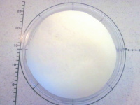 作りやすく飽きのこない♪ ミルク食パンの作り方の手順5