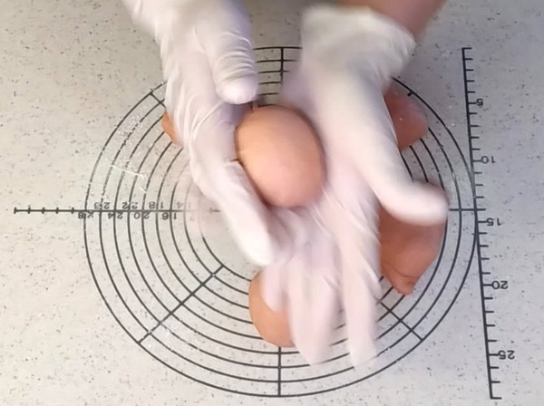 バンズ型で焼く♪ 桜あんぱんの作り方の手順9